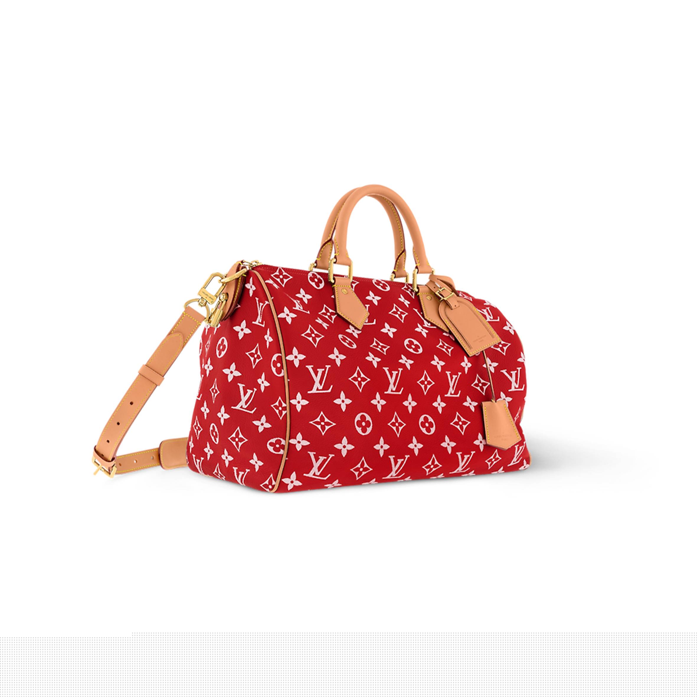 l**is V*t*n speedy p9 bandouliÈre 40 m24420 (40*26*23cm)